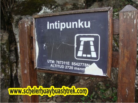 Intipunko